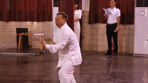 南拳的视频,视频揭秘传统武术魅力